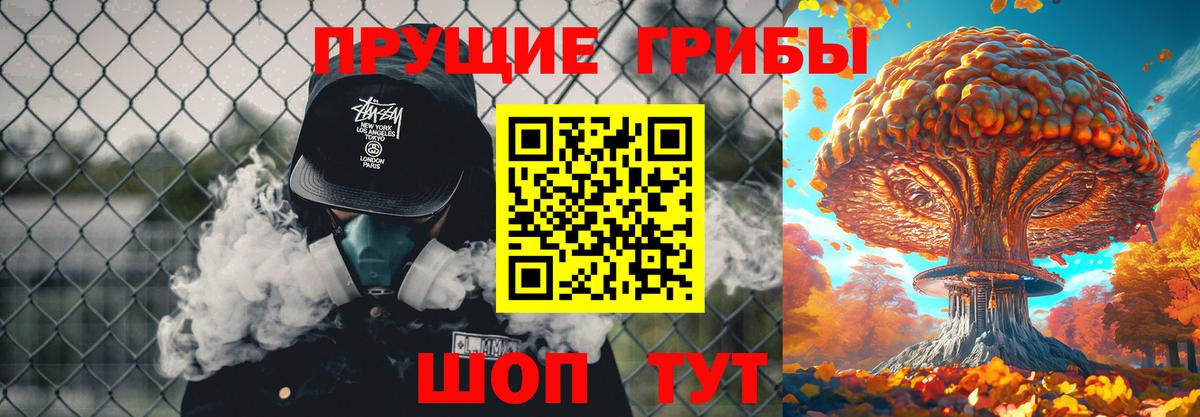 Сокол  Галлюциногенные грибы прущие грибы  Псилоцибиновые грибы прущие грибы  Вход с VPN 
