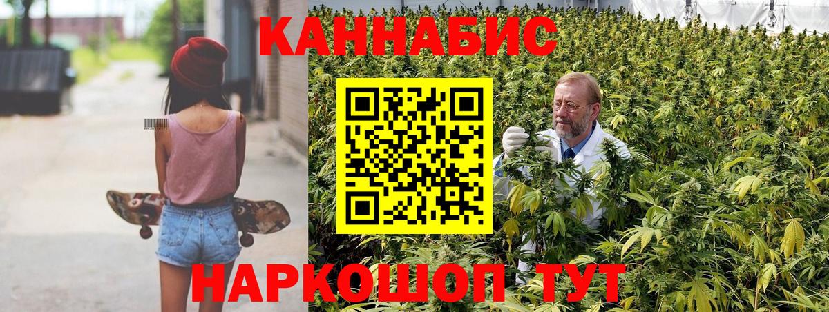 Марихуана Amnesia Сокол